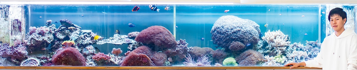 5tサンゴ水槽