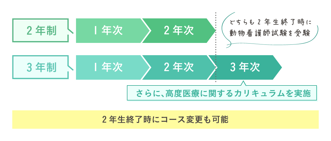上記のコースの違いをまとめた表