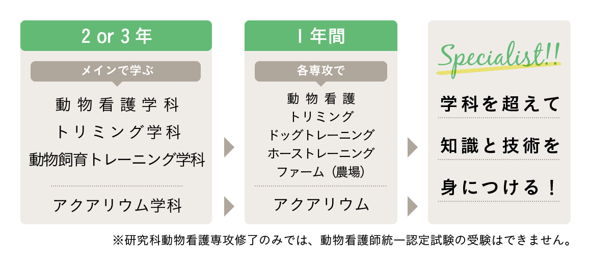 図表:2年間または3年間、動物系学科でメインの学びを身に着けます。その後、研究科に進んだ場合は、プラス1年間自ら選んだ学びで知識を深めます。学科を超えて知識と技術を身につけます。ただし、プラス1年で動物看護を選択する場合、統一認定試験を受けることはできません。
