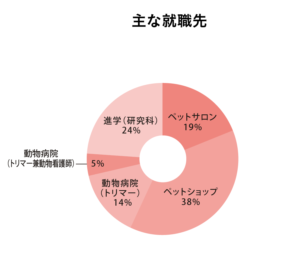 トリミング学科の主な就職先の円グラフ:ペットサロン 19%,ペットショップ 38%,動物病院(トリマー)14%,動物病院(トリマー兼動物看護士)5%,進学(研究科)24%