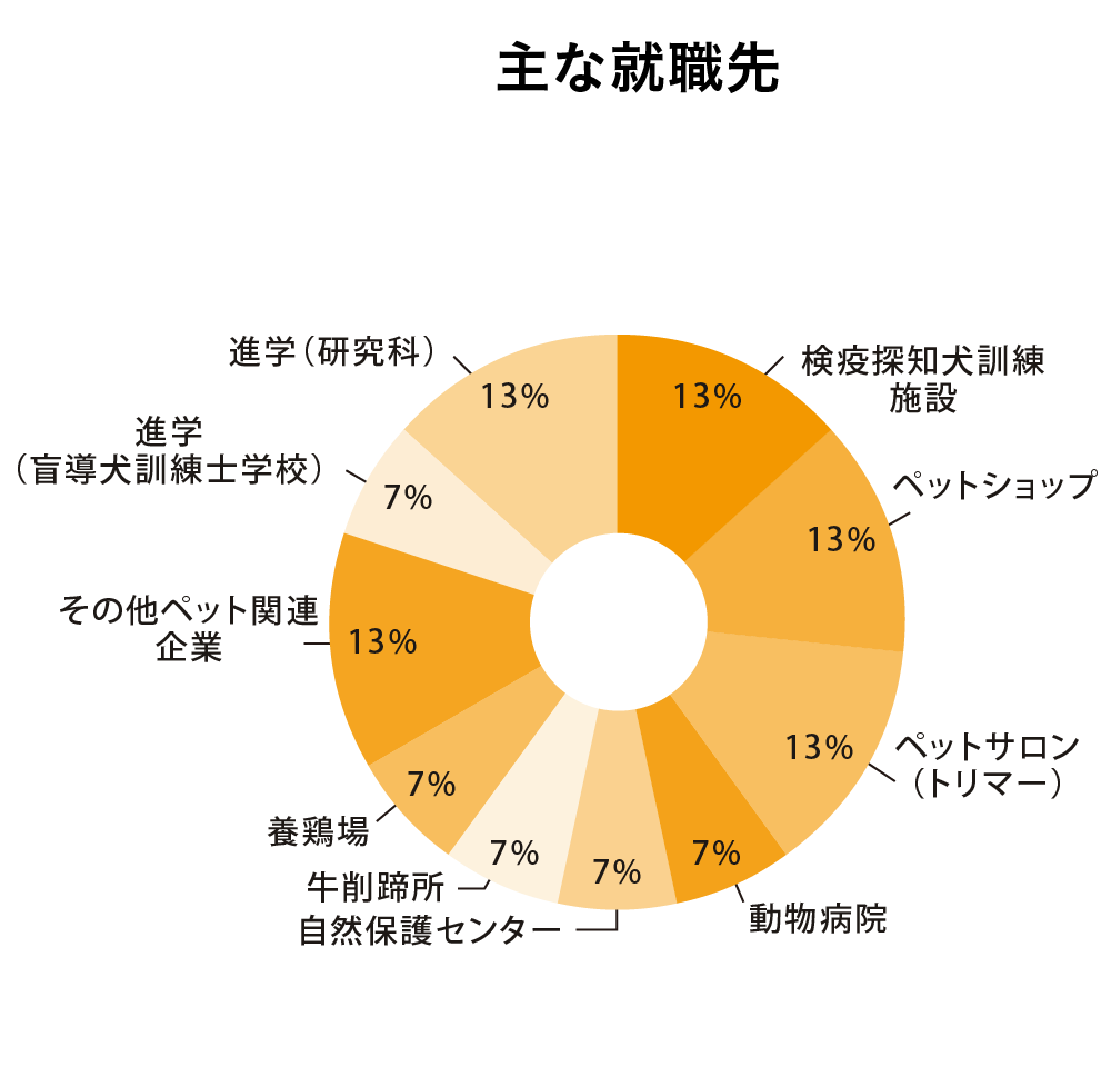 動物飼育トレーニング学科の主な就職先の円グラフ:検疫探知犬訓練施設13%,ペットショップ13%,ペットサロン(トリマー)13%,動物病院7%,自然保護センター7%,牛削蹄所7%,養鶏場7%,その他ペット関連企業13%,進学(盲導犬訓練士学校)7%,進学(研究科)13%