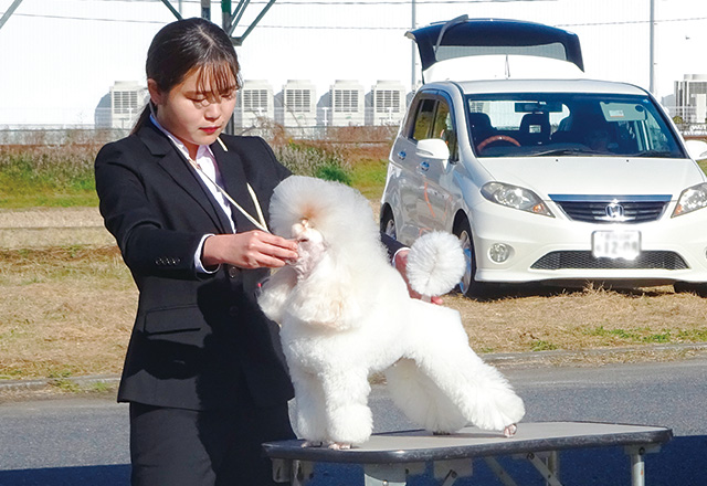 写真:学生の足元に座る学内犬