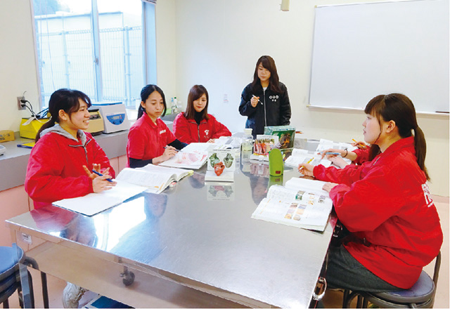 写真:グルーミング実習の様子