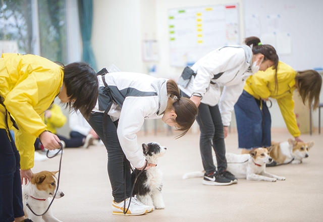 写真：ゲージに学内犬を誘導する学生