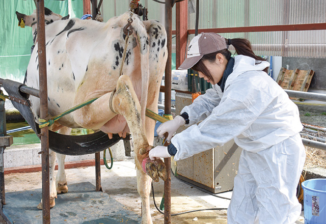 写真：コンピュータ演習を行う学生