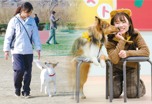写真:ドッグダンスの様子。手を広げて踊っている学生と、後ろ足で立っているコーギー犬。