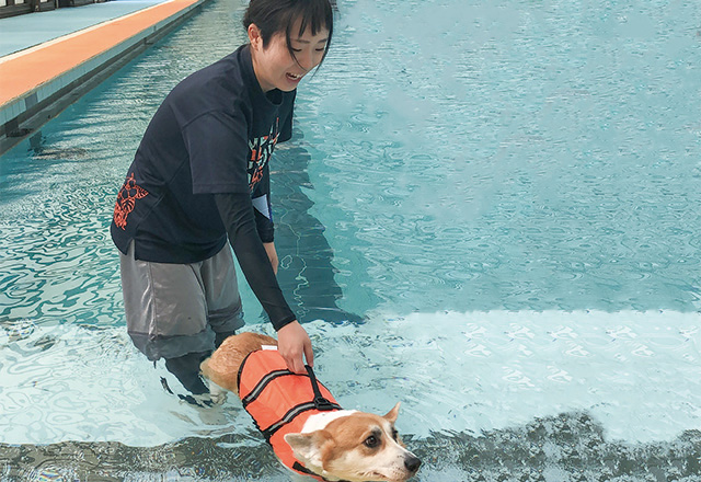 写真：岡山県動物愛護センター見学の様子。ダンボール箱に入った子猫をみる学生たち。