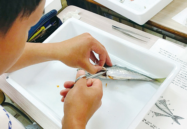 写真:水槽管理実習を行う学生