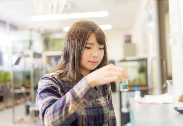 写真:屋外でアクアアート実習を行う学生たち