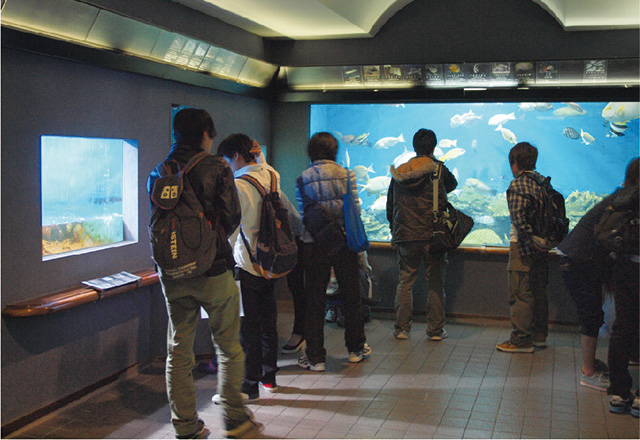 写真：渋川マリン水族館を見学している様子。