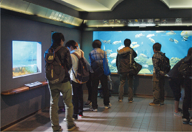 写真:渋川マリン水族館を見学している様子。