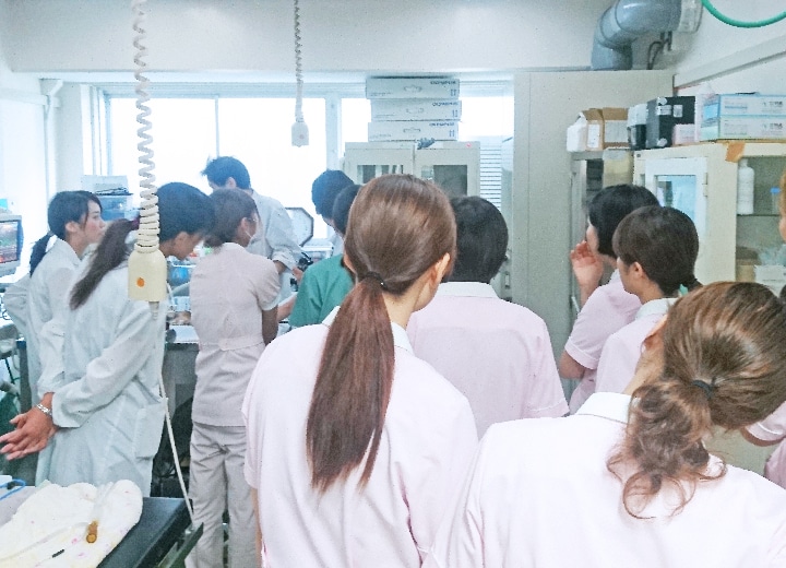 牛に対して3人の学生が飼育管理実習を行っている様子
