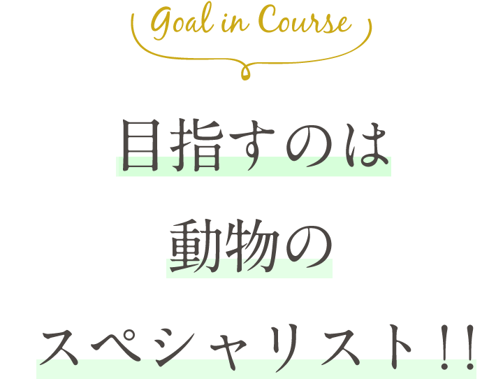 Goal in Course 犬の「スゴイ」を伸ばす。しつけのプロへの第一歩。